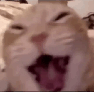 Сүйісу